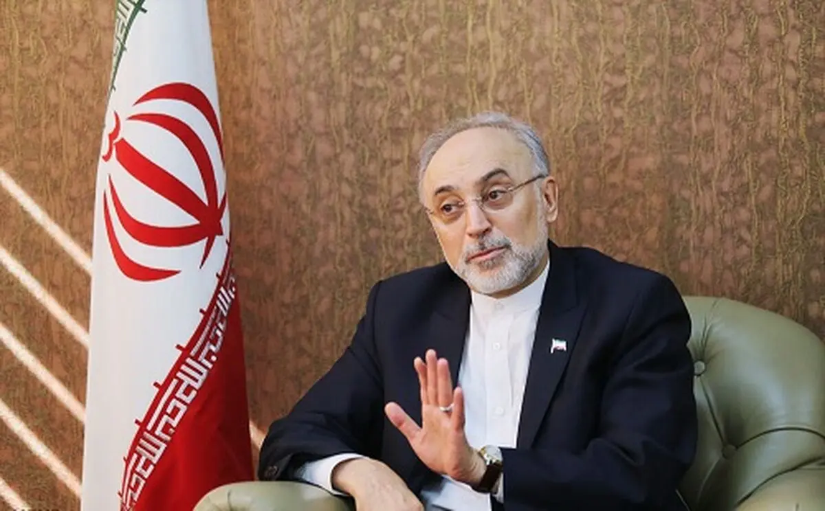 Iran is building advanced centrifuges: Salehi