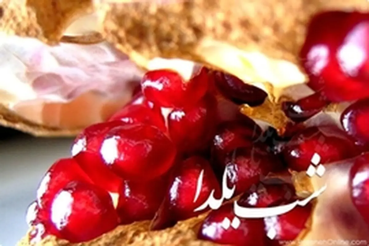 یلدا، مقوم روابط اجتماعی