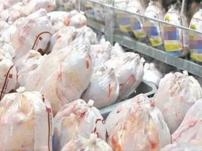 عرضه گوشت مرغ با قیمت پایین‌تر از سایر نقاط کشور در استان مرکزی