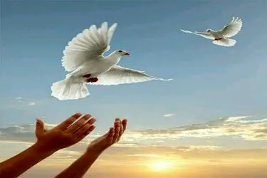 ۳۵ زندانی جرایم غیرعمد و مالی در تهران به مناسبت ایام فاطمیه آزاد شدند