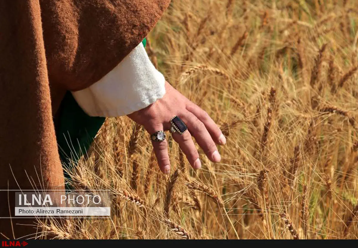 آغاز اکران «کربلا جغرافیای یک تاریخ»+ تیزر