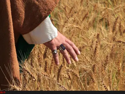 آغاز اکران «کربلا جغرافیای یک تاریخ»+ تیزر