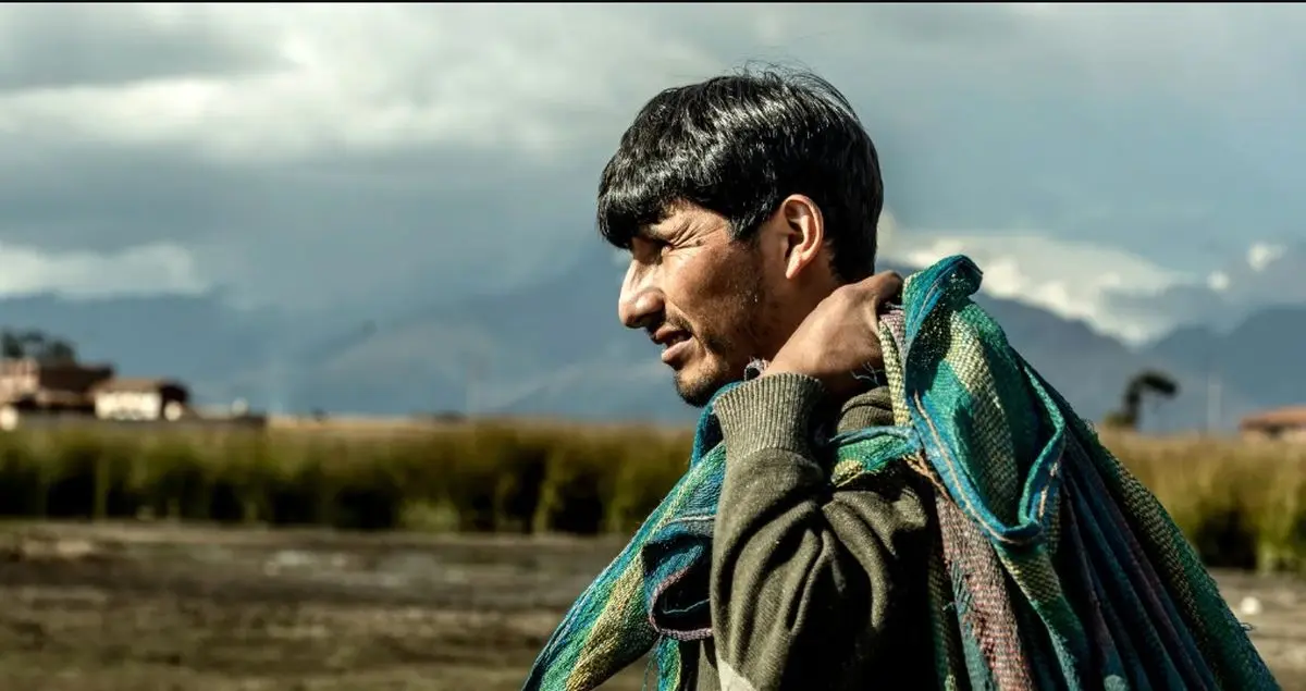 بیش از ۸۰ درصد «کارگران بخش کشاورزی» بیمه و قرارداد ندارند