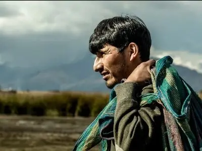 بیش از ۸۰ درصد «کارگران بخش کشاورزی» بیمه و قرارداد ندارند