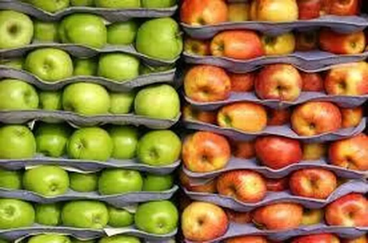 مجوز واردات آناناس و انبه پاکستانی در قبال صادرات سیب درختی ایران ابلاغ شد