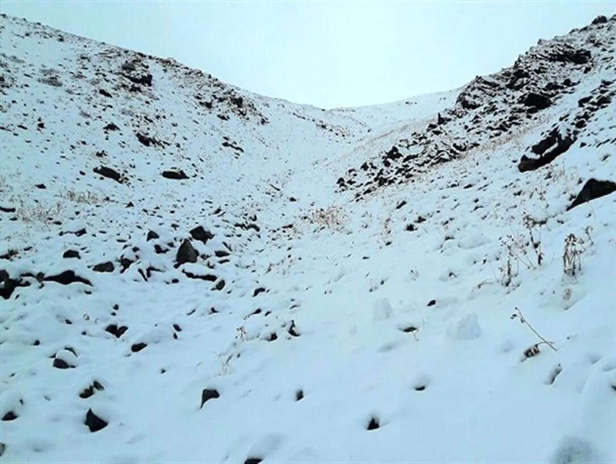 سفید پوش شدن برخی از مناطق کوهستانی گیلان