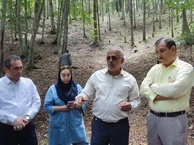 برنامه‌ریزی برای جنگل‌کاری در حریم ۶۰ متری دریای خزر/ سند پشتیبان طرح‌ کاشت یک میلیارد درخت تهیه شده است + عکس