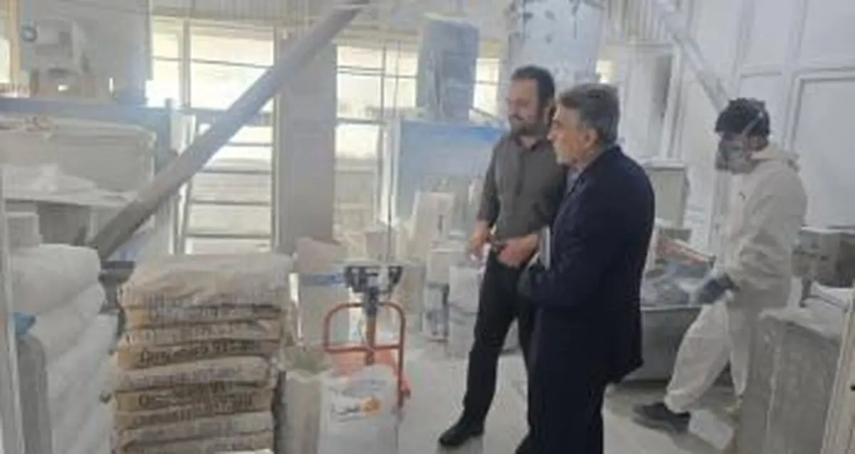 برنامه های حمایتی بانک توسعه صادرات ایران برای صنایع صادراتی استان اردبیل