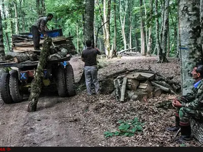 کارگران حفاظت از جنگل مازندران به سازمان جنگلهای کشور مراجعه کردند