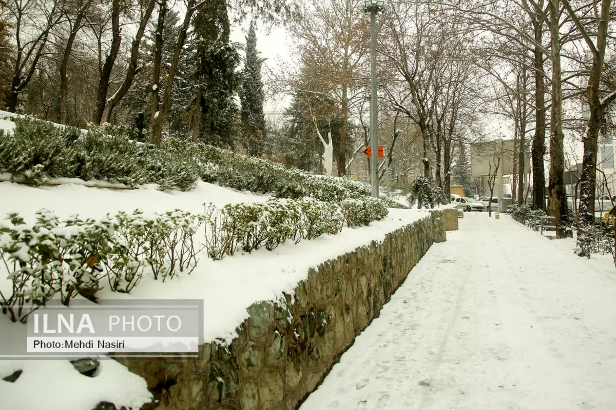شروع مجدد بارش برف در تهران از عصر شنبه/ ماندگاری دمای نزدیک به صفر در پایتخت 