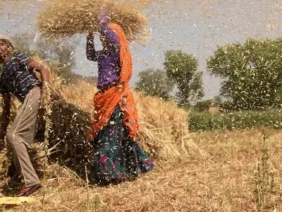 وضعیت دستمزد مشاغل منتخب بخش کشاورزی در مناطق روستایی در سه ماهه اول سال