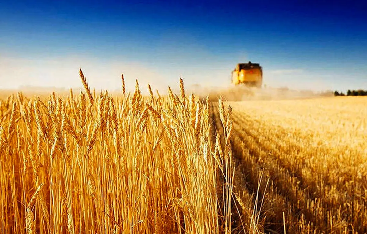 خسارت ۴۰۰۰ میلیارد ریالی خشکسالی به کشاورزان کرمانشاهی/غرامت‌ها تا آخر آذر پرداخت می‌شود