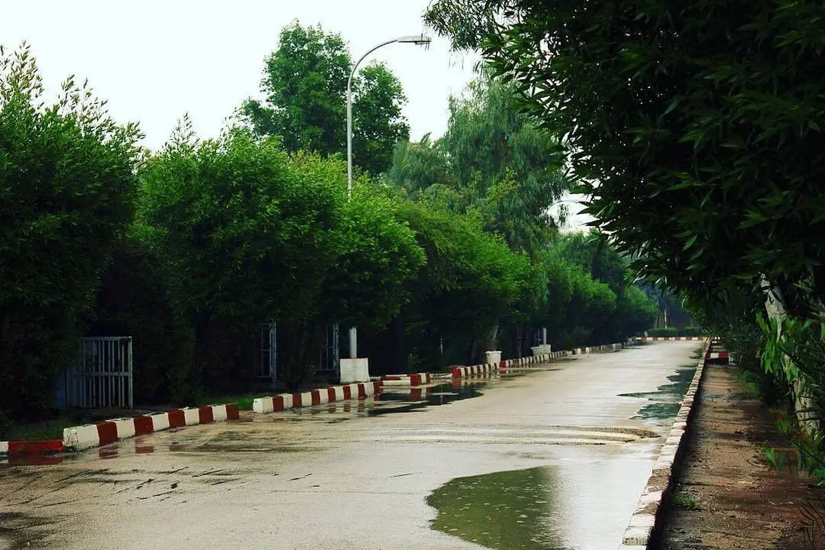 بدهی به بانک مشکل‌ساز شد/ خانه بی‌خانه!