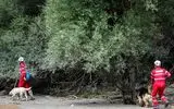 نجات ۲۰ گردشگر مفقود شده در «لفور» 

