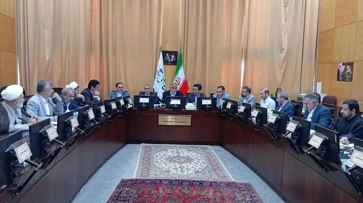 نشست کمیسیون مشترک بررسی لایحه سازمان ملی مهاجرت آغاز شد