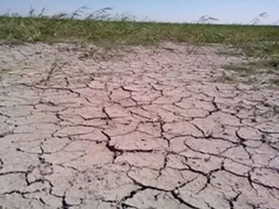 کوتاهی در خصوص تالاب هامون با عذرخواهی درست نمی شود