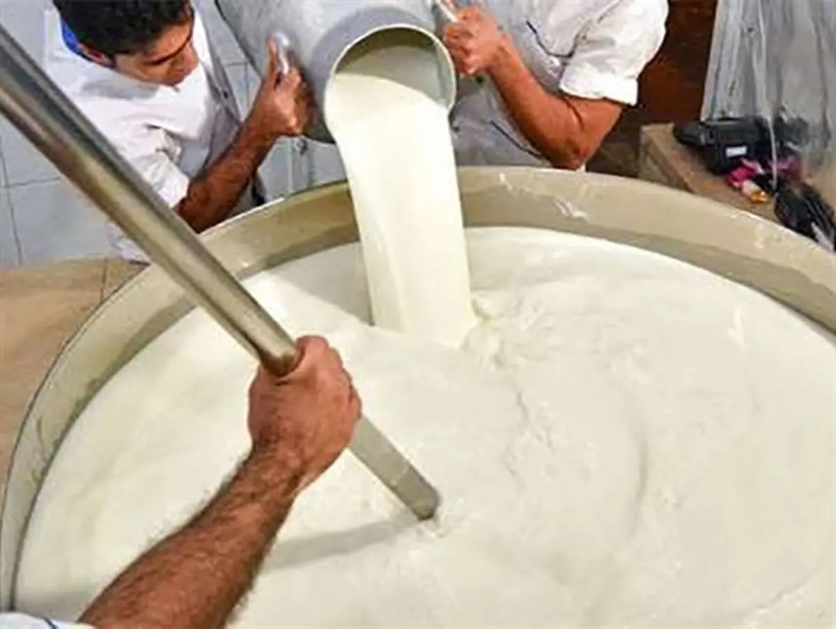 مخالفت تنظیم بازار با افزایش قیمت لبنیات کذب محض است/ قیمت شیر خام تا 1700 تومان افزایش می‌یابد
