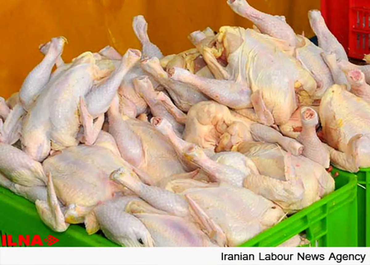 روان سازی صادرات گوشت مرغ در سال جدید