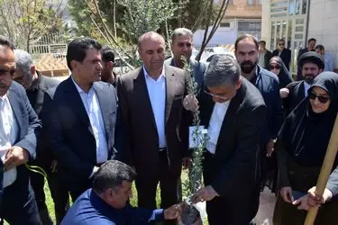 استاندار: ۷ونیم میلیون نهال در لرستان کاشته می‌شود