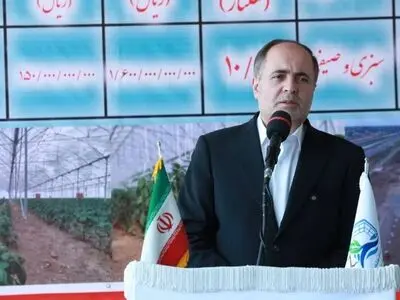 حدود ۴۰۰ میلیون دلار محصولات گلخانه‌ای در سال ١۴٠٣ صادر شد