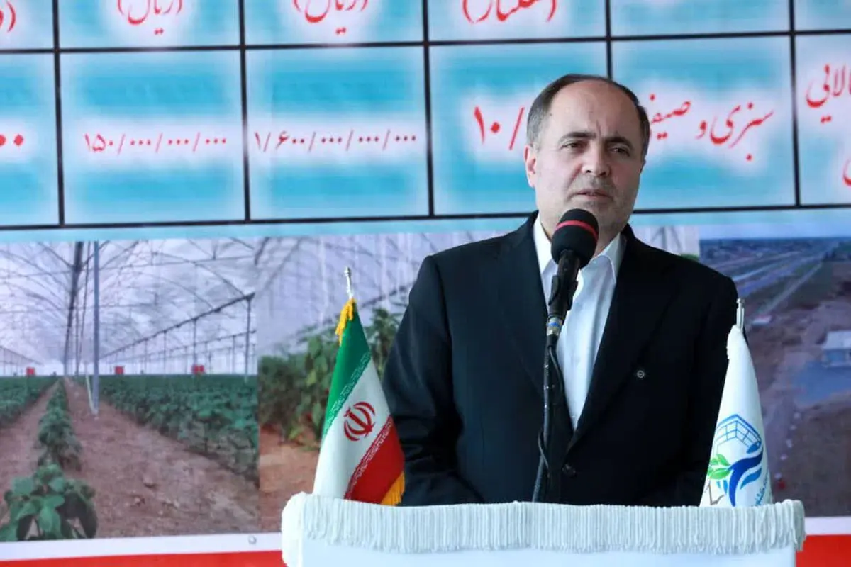 حدود ۴۰۰ میلیون دلار محصولات گلخانهای در سال ١۴٠٣ صادر شد
