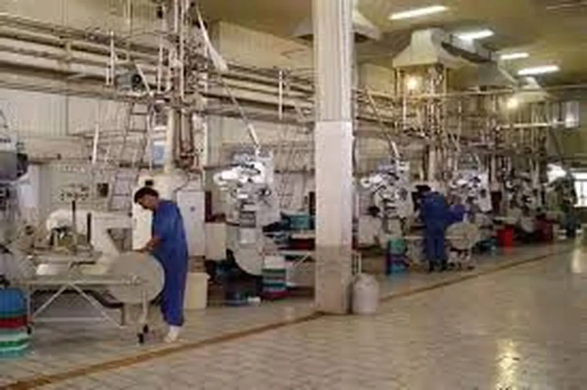 جلوگیری از بیکاری ۷۱۵ کارگر کارخانه‌ی لبنی در شاهرود