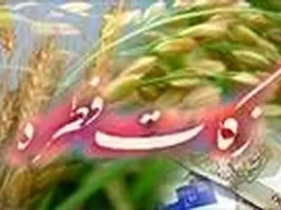 توزیع زکات فطره بین نیازمندان در اسرع وقت