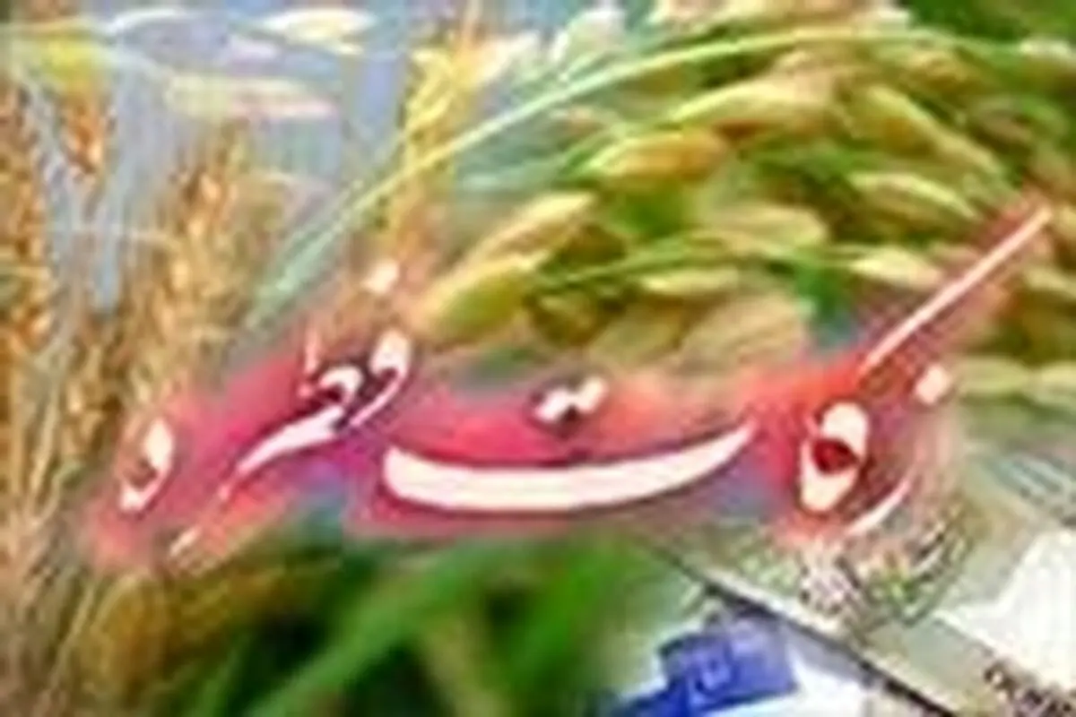توزیع زکات فطره بین نیازمندان در اسرع وقت