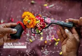عجیب ترین عکس های سال 2019