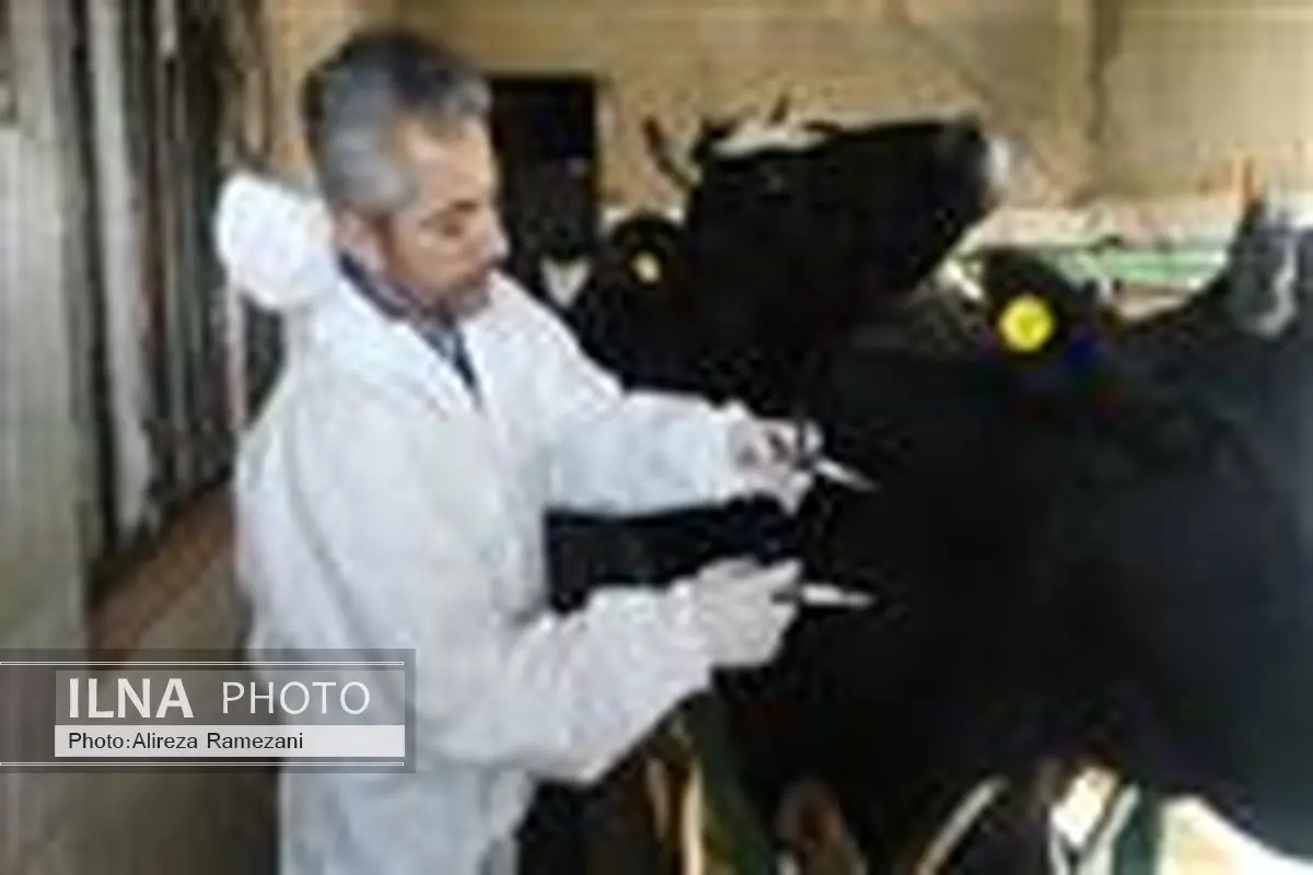 عبور آمار تست سل استان از مرز 7800 راس