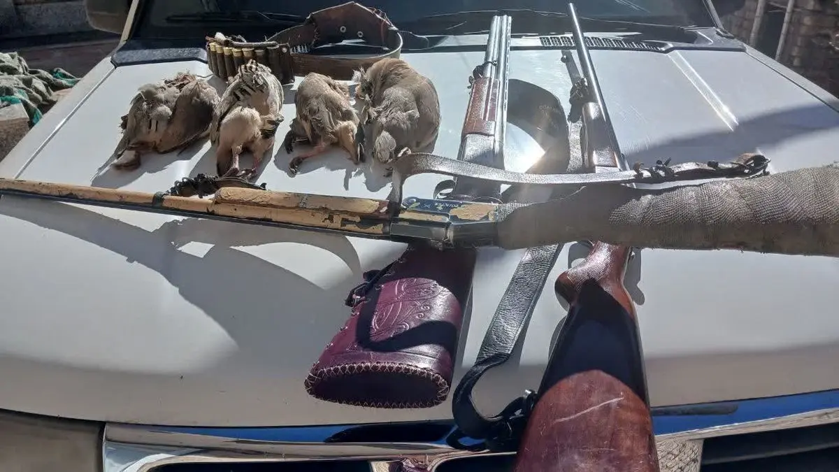 دستگیری ۴ متخلف و کشف سلاح و شکار غیرمجاز در اقلید