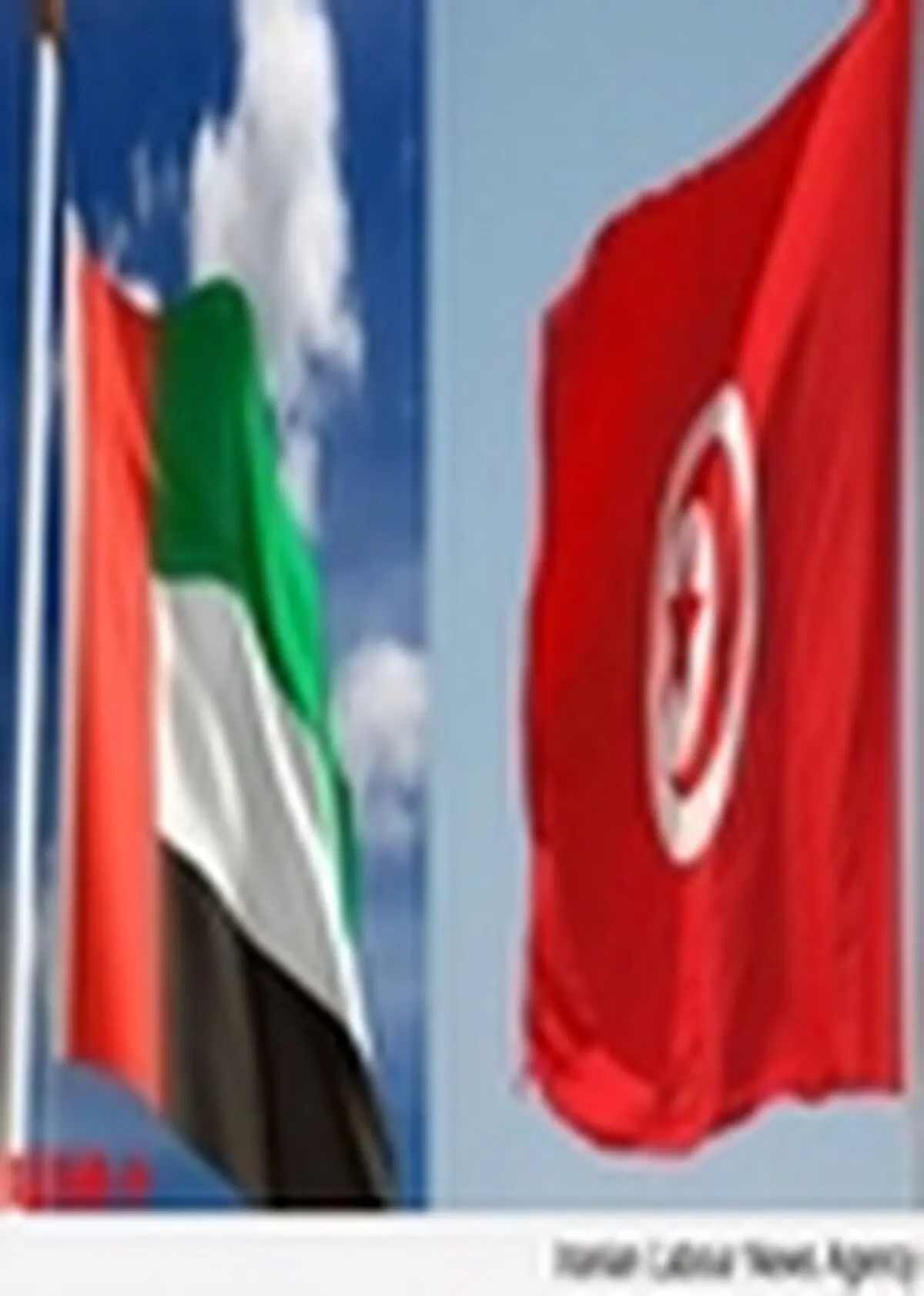 امارات سفیر خود در تونس را فراخواند