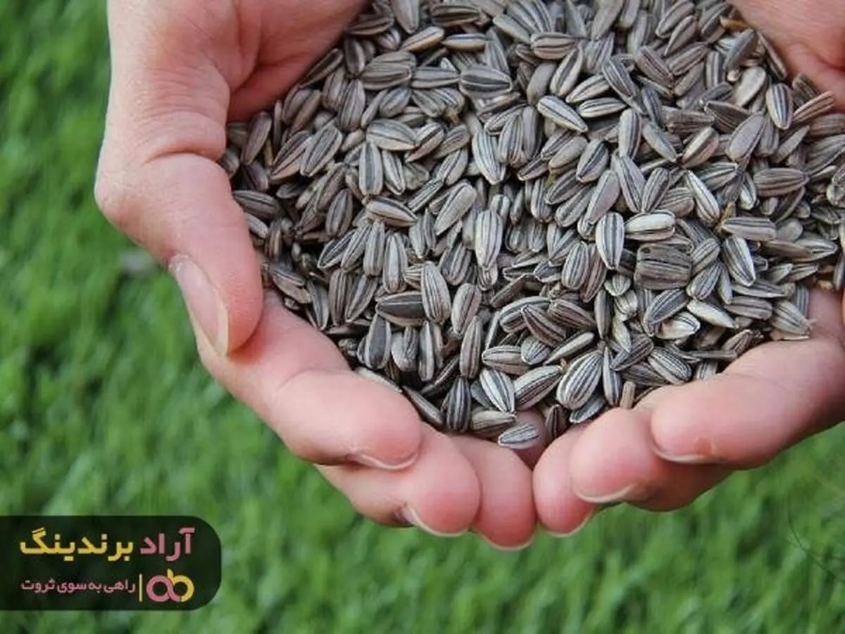 استراتژی های ثروت را بهتر بشناسید