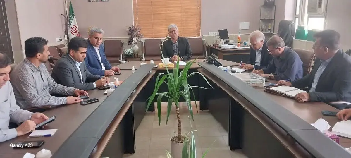 تعاون روستایی فارس آماده خرید حمایتی گوجه‌فرنگی شد