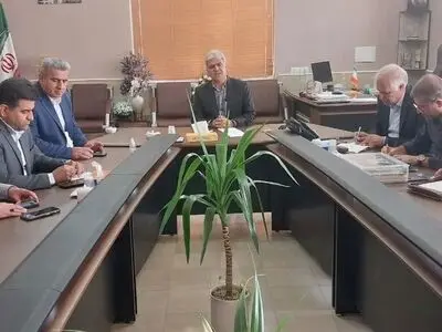 تعاون روستایی فارس آماده خرید حمایتی گوجه‌فرنگی شد