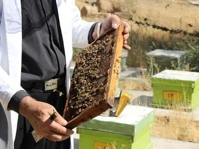 گرفتن گواهی بهداشت  و کوچ از شهرستان مبدأ قبل از وارد شدن به استان مقصد