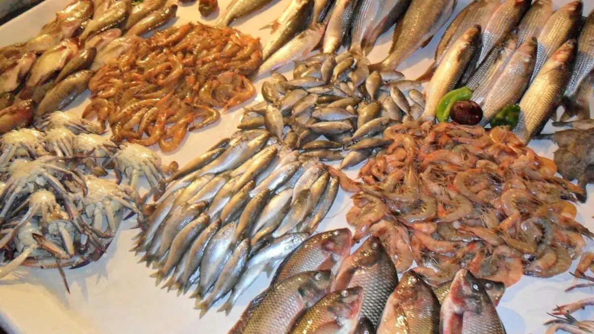 صادرات بیش از 186 هزار تن آبزیان و فرآورده‌های شیلاتی در یازده ماه/ صادرات به 62 کشور