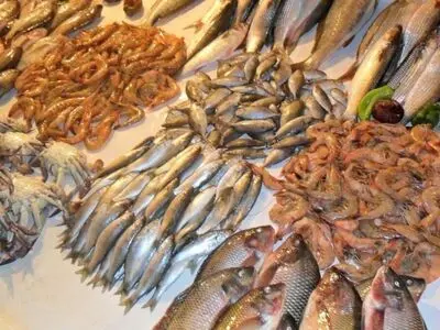 صادرات بیش از 186 هزار تن آبزیان و فرآورده‌های شیلاتی در یازده ماه/ صادرات به 62 کشور