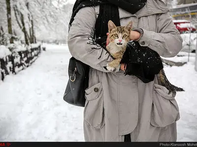 بازتاب بارش برف سنگین ایران در رسانه‌های جهان