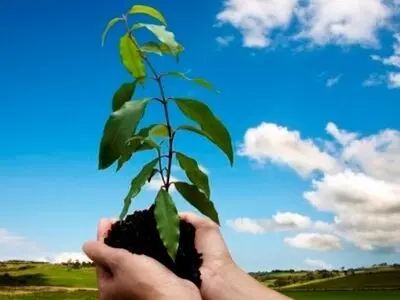 غرس 34 هزار اصله نهال در استان اردبیل / برای هر شهید 10 نهال کاشته می‌شود