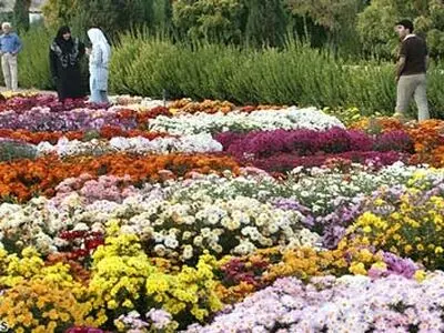 افزایش صادرات گل و گیاه و فرآورده‌های لبنی از مازندران به خارج