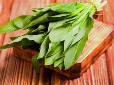 خواص گیاه والک یا سیر وحشی