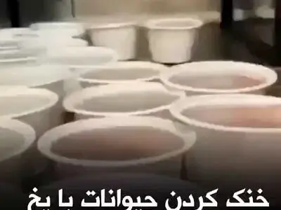 ترفند مدیران باغ‌وحش ارم برای خنک‌ کردن حیوانات در این باغ‌ وحش + فیلم