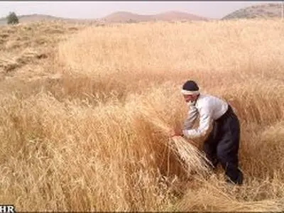 گرمای هوا شرایط کارگران ساختمانی را سخت‌ترکرد/ نگرانی کشاورزان سیستانی از آتش گرفتن محصول