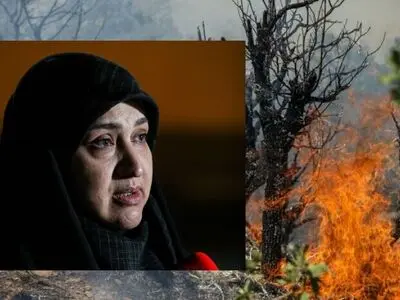 ضعف مدیریت در اطفای حریق جنگل‌های هیرکانی موج می‌زند/ کشور مسئولان عملیاتی و پای کار می‌خواهد