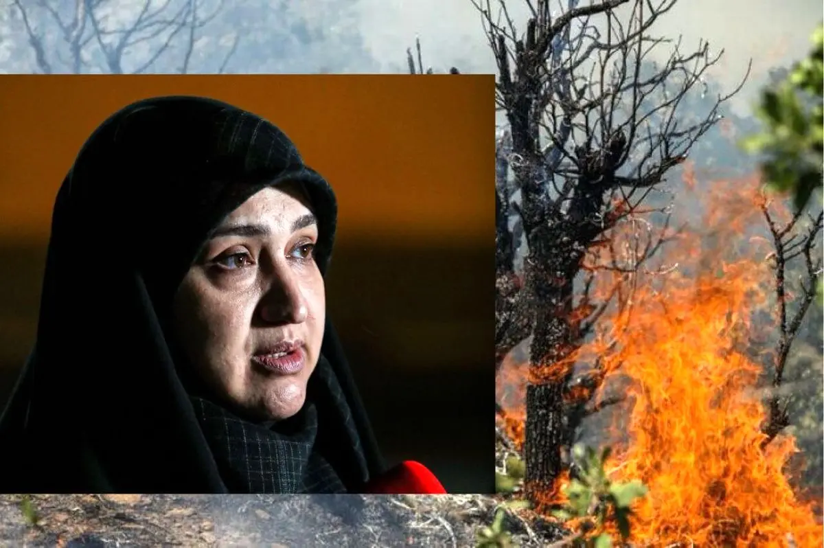 ضعف مدیریت در اطفای حریق جنگل‌های هیرکانی موج می‌زند/ کشور مسئولان عملیاتی و پای کار می‌خواهد