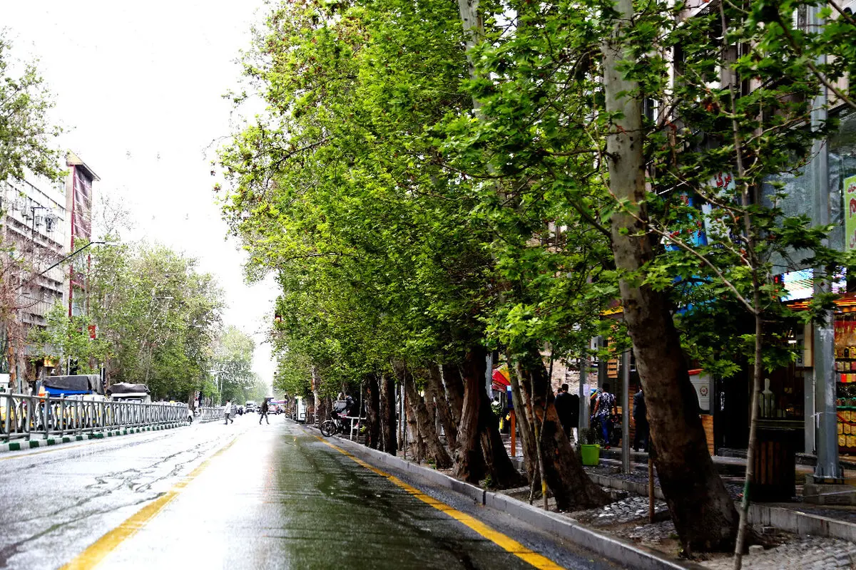 آخرین اقدامات برای  ثبت جهانی خیابان ولی عصر