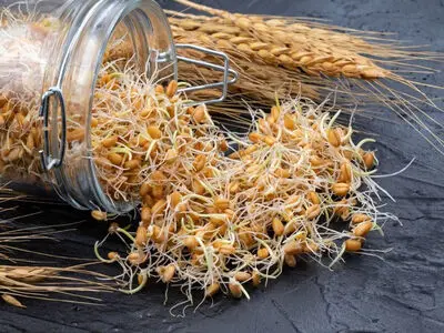 نحوه استفاده جوانه گندم برای چاقی صورت