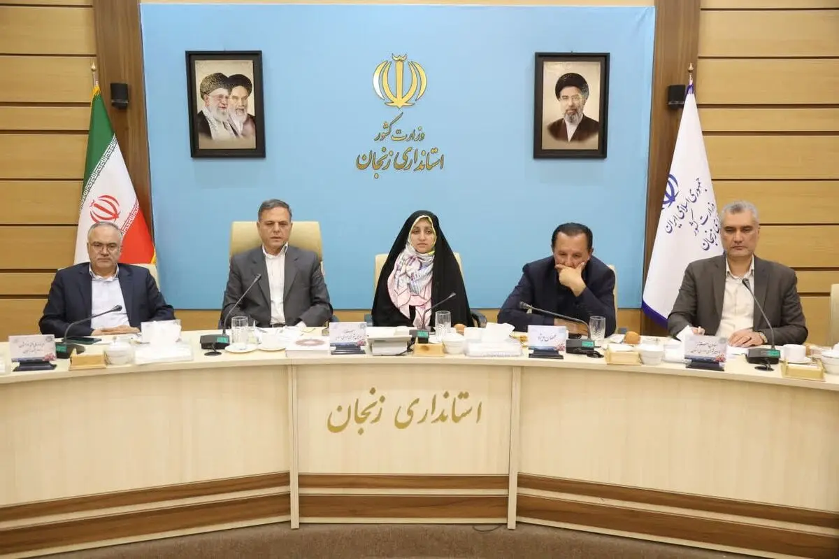 بیش از ۶۰ درصد تسهیلات تکلیفی اشتغال به زنان اختصاص یافته است