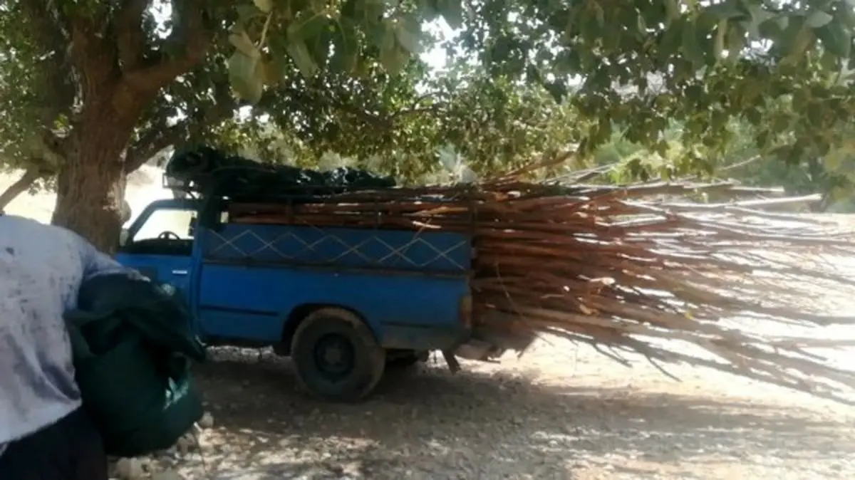 جمعآوری آلاچیقهای بالادست روستای سبوک شیراز